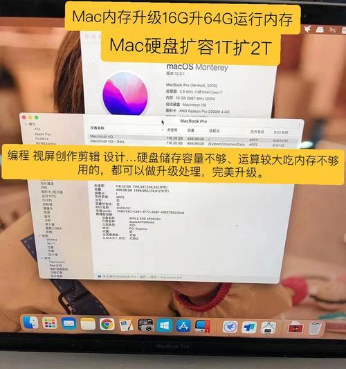 苹果电脑如何查看内存大小？（掌握简便方法，准确了解内存容量）-第3张图片-星耀数码